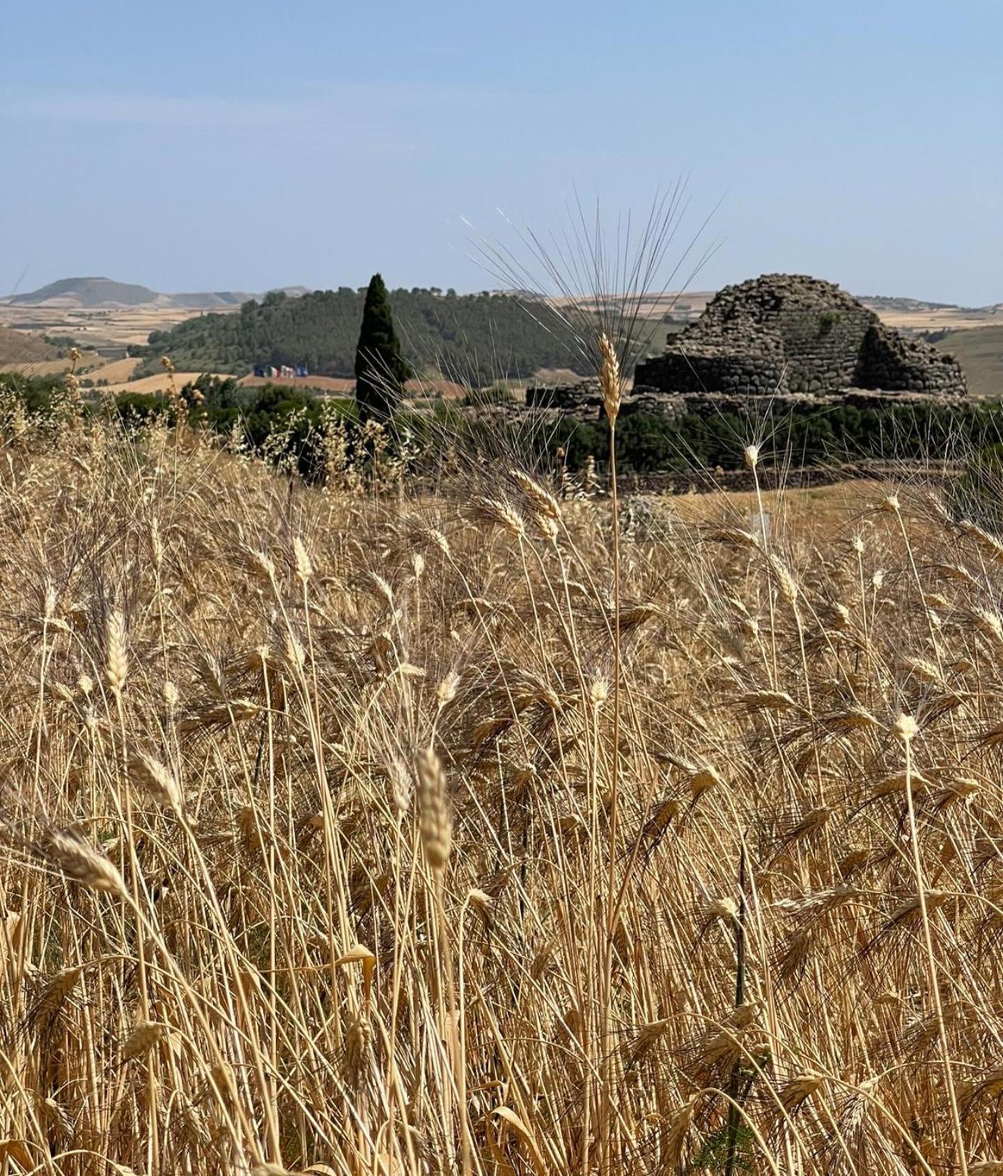 Su Nuraxi Barùmini
